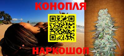 спиды Донской