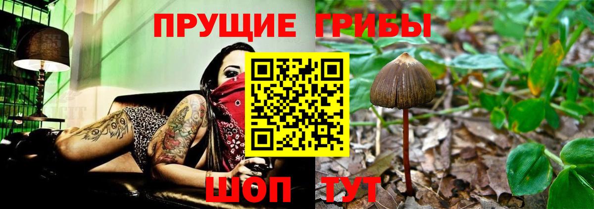 Галлюциногенные грибы ЛСД  Вход с VPN  Псилоцибиновые грибы Magic Shrooms  Заинск 