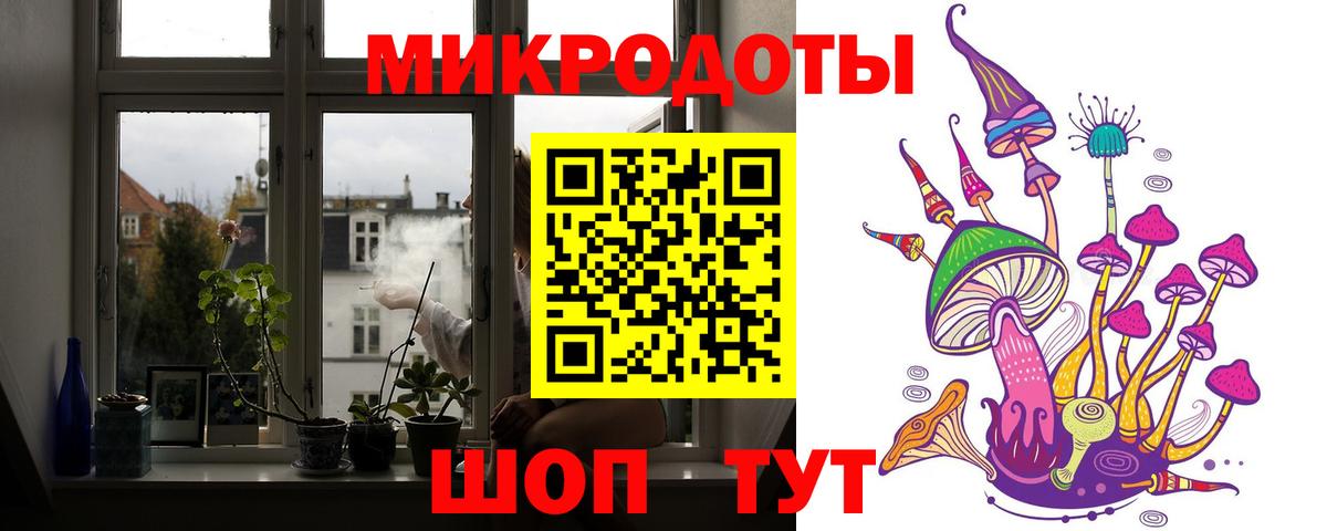 Псилоцибиновые грибы Cubensis Заинск